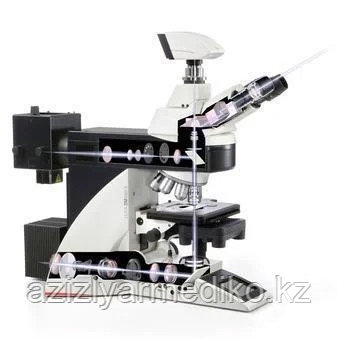 Цифровой микроскоп Leica DM4000B