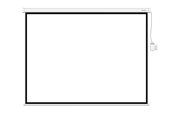 Экран моторизированный (с пультом Д/У) Deluxe DLS-ERC203xW (80"х80"), Ø - 113", 1:1