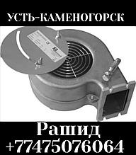 Вентилятор для котла Усть-Каменогорск