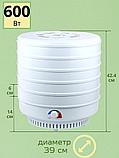 Сушилка для овощей и фруктов ЭСОФ-0.6/220 Ветерок-2 (электросушилка 5 белых поддонов), фото 2