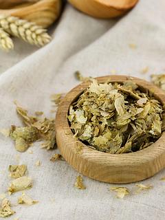 Қожайын мен қызметші арасындағы жыныстық қатынас