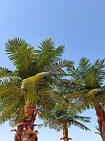 Демалыстағы секс суреттері