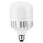 Лампа светодиодная Feron LB-65 E27-E40 60W 175-265V 4000K, фото 4
