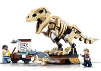Конструктор BELA 60132 Скелет динозавра на выставке (LEGO 76940)