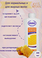 Шампунь для волос с прополисом Ersag 300 ml