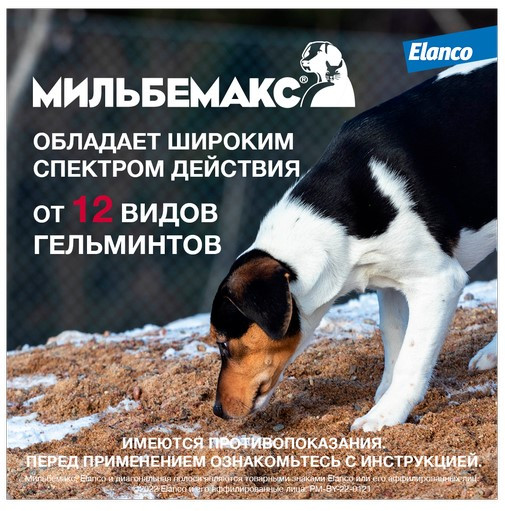 Мильбемакс, антигельминтный препарат для взрослых собак - 1 таблетка - фото 6 - id-p102993778
