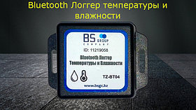 Регистратор температуры и влажности TZ-BT04 (Логгер) беспроводной