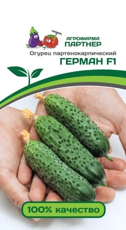 ПАРТНЕР ОГУРЕЦ ГЕРМАН F1