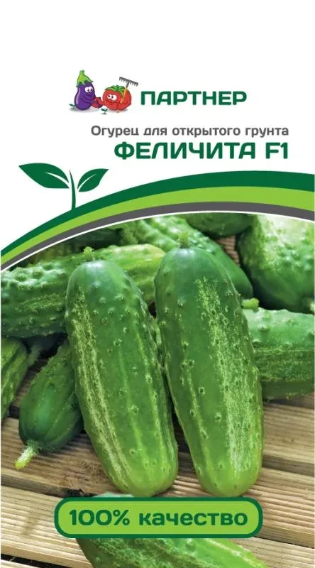 ПАРТНЕР ОГУРЕЦ ФЕЛИЧИТА F1