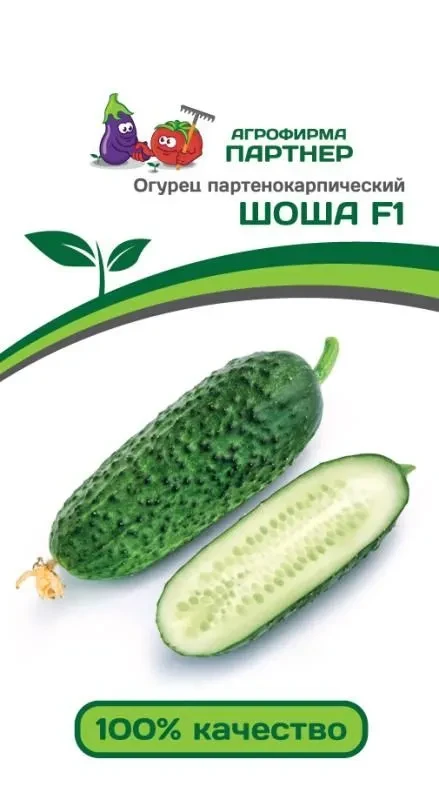 ПАРТНЕР ОГУРЕЦ ШОША F1