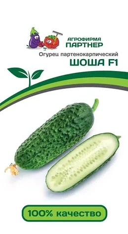 ПАРТНЕР ОГУРЕЦ ШОША F1, фото 1