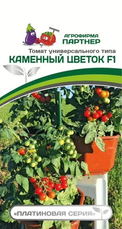 ПАРТНЕР ТОМАТ ЧЕРРИ КАМЕННЫЙ ЦВЕТОК F1