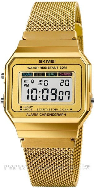 Часы SKMEI 1639GD
