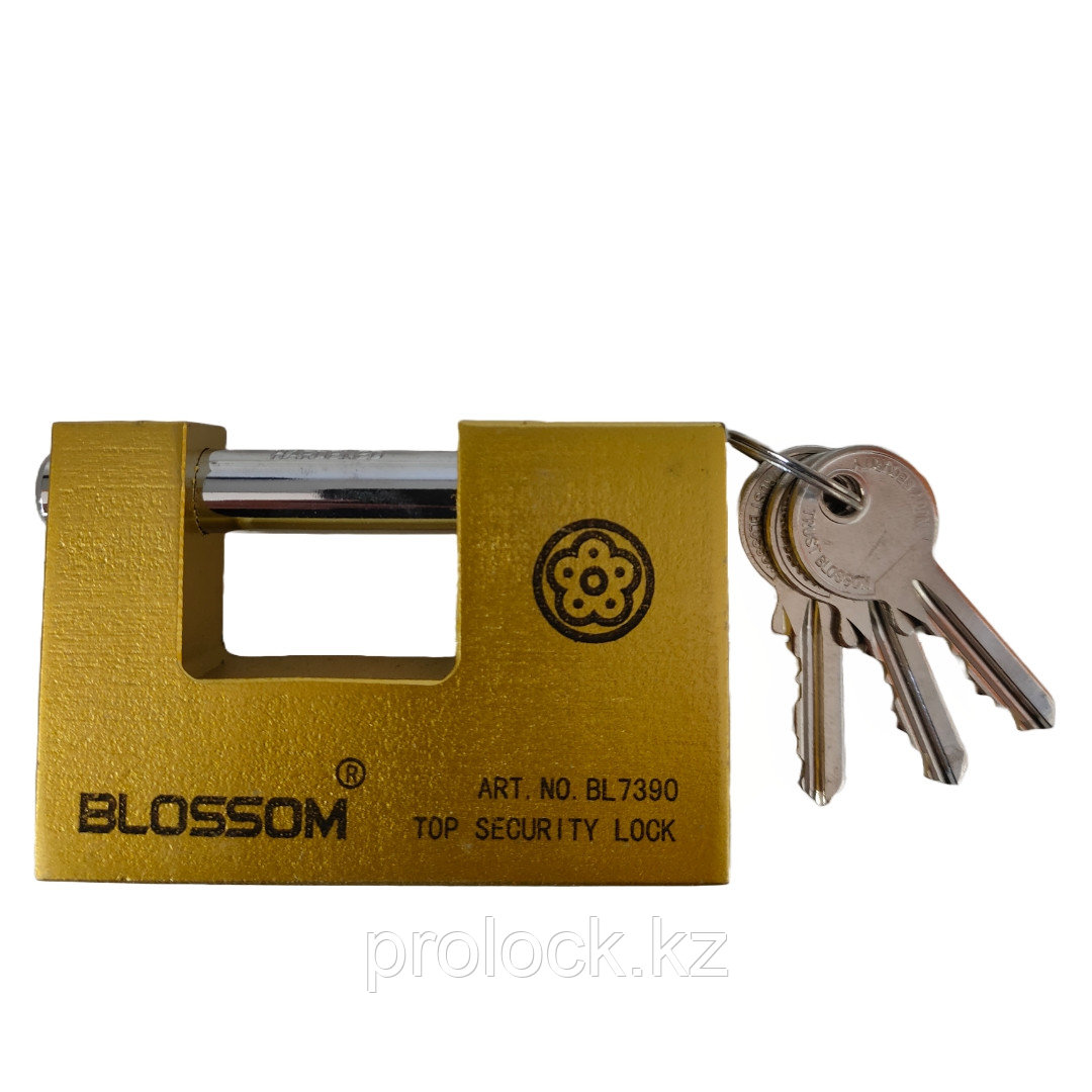Замок навесной BLOSSOM  90×59×21мм (длина×высота×толщина) всепогодный., фото 1