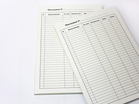 Самокопирующиеся бланки "Евро" (2 слоя)