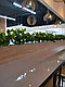 Озеленение бардюров, перегородок в кафе, фото 3