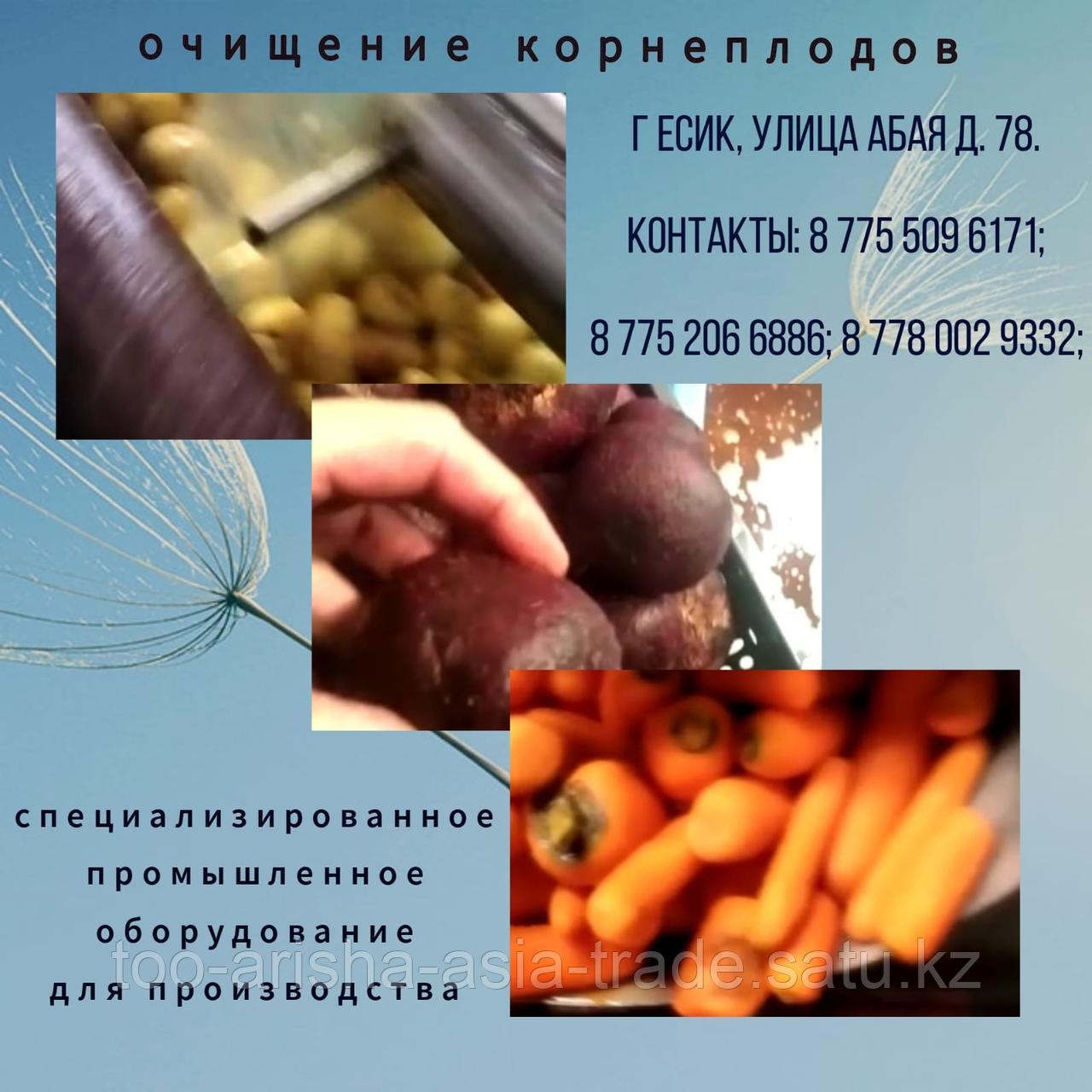 Картофелечистка, чистка корнеплодов, овощечистка РФ