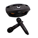 Портативная караоке-система SDRD SD-30, 2 микрофона, фото 2