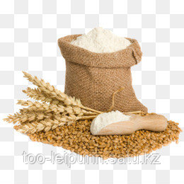 Глютен пшеничный Аминосиб марки А (Россия) - фото 1 - id-p67640983