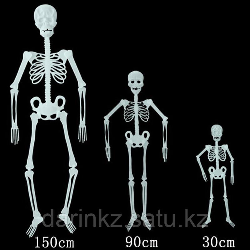 Скелет фосфорный на Хэллоуин 30см