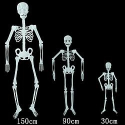 Скелет фосфорный на Хэллоуин 30см