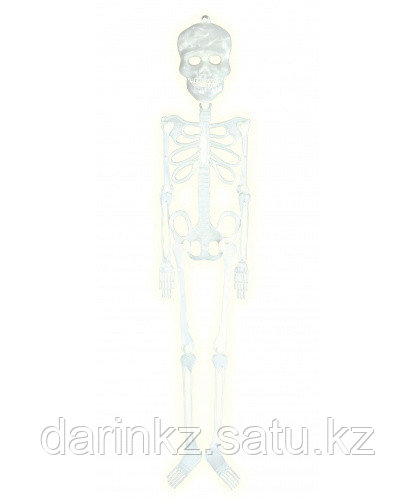 Скелет фосфорный на Хэллоуин 30см - фото 3 - id-p103168996