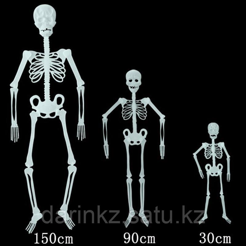Скелет фосфорный на Хэллоуин 90см