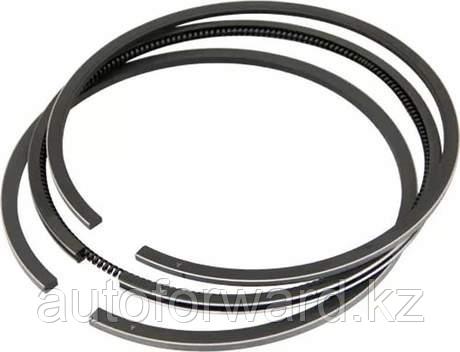Кольца 124 V2.0  102дв  GOETZE