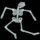 Скелет фосфорный на Хэллоуин 90см, фото 10