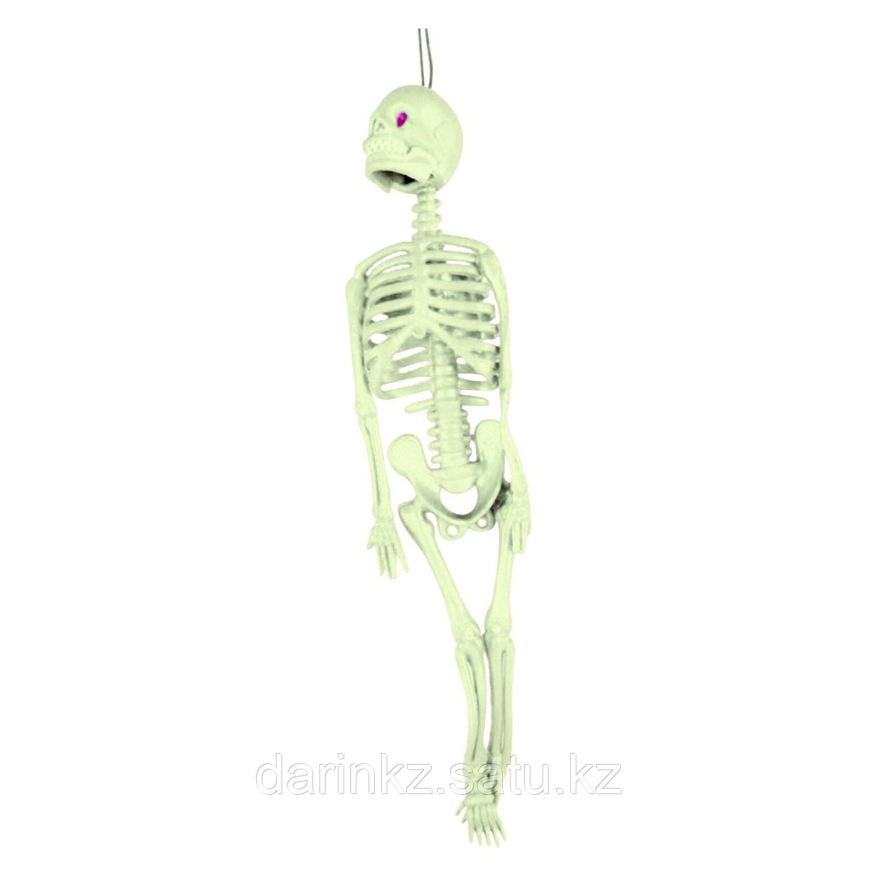 Скелет брелок на резиночке 13см - фото 4 - id-p103169717