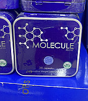 Molecule Plus