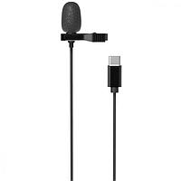 Микрофон петличный Ritmix RCM-210 черный