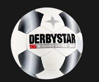 Профессиональный футбольный мяч DERBYSTAR X-QUINTUS TT