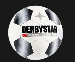 Профессиональный футбольный мяч DERBYSTAR X-QUINTUS TT - фото 1 - id-p103207110