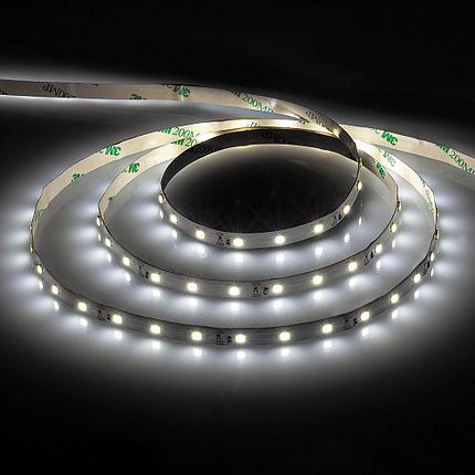 Лента светодиодная, 60SMD(2835)/m 4.8W/m 12V 5m 6500К , LS603, фото 2