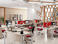 Комплект мебели для open-space Skyland