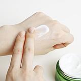 Крем для проблемной кожи с 80% чайного дерева Dr.Ceuracle Tea Tree Purifine 80 Cream, фото 3