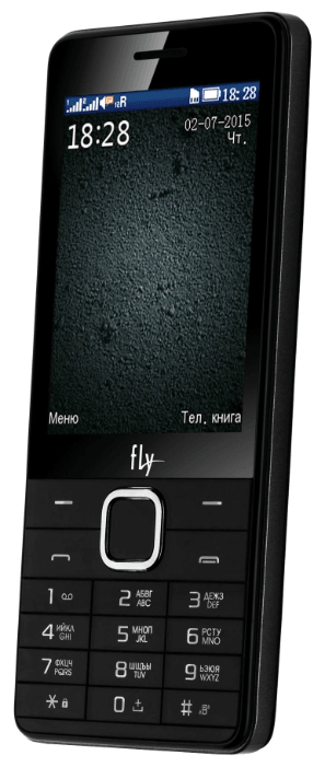 Мобильный телефон Fly FF301 (Black)