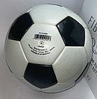 Мяч футбольный MiKASA®, фото 5