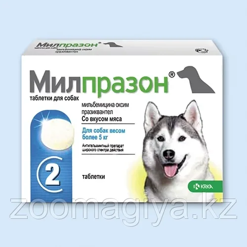 Милпразон таб. 12,5 мг/125мг №2 для собак от 5 кг - фото 1 - id-p103309815