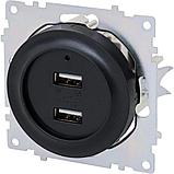 Розетка USB двойная встраиваемая Onekeyelectro, с подсветкой, цвет чёрный, фото 7