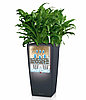 Вазоны для комнатных растений LECHUZA Cubico Color 40 - 40*40*75см серый матовый, фото 6