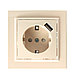 Розетка 1-местная с/з, STEKKER, PST16-9011-02 250В, 16А с защитной шторкой и с USB, серия Эрна, слоновая кость - фото 1 - id-p102326132