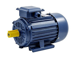 Электродвигатель промышленный БЭЗ АИР 250S8 IM1081 (37.0 кВт, 750 об/мин)