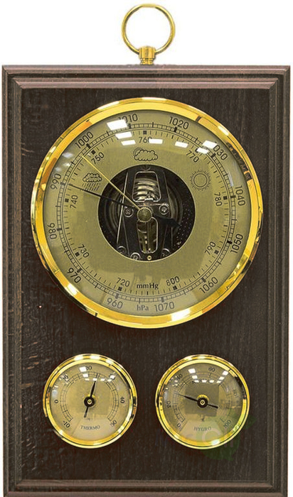 Барометр+Гигрометр+Термометр БРИГ БМ93301-ТГБ-В
