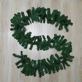 Зеленая хвойная ветка