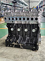 Новый двигатель Хендай/Киа 2.5л. D4CB Евро 5., фото 5