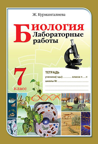 Үйде ұйықтап жатқан маспен жыныстық қатынас