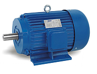 Y200L2-6 22кВт/1000 об/мин 380/660V 14 шт.скл.хран.
