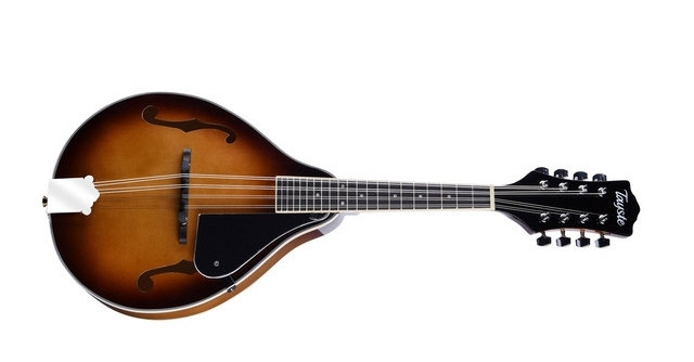 Купить мандолину в Алматы – Продажа профессиональной мандолины по всему ...